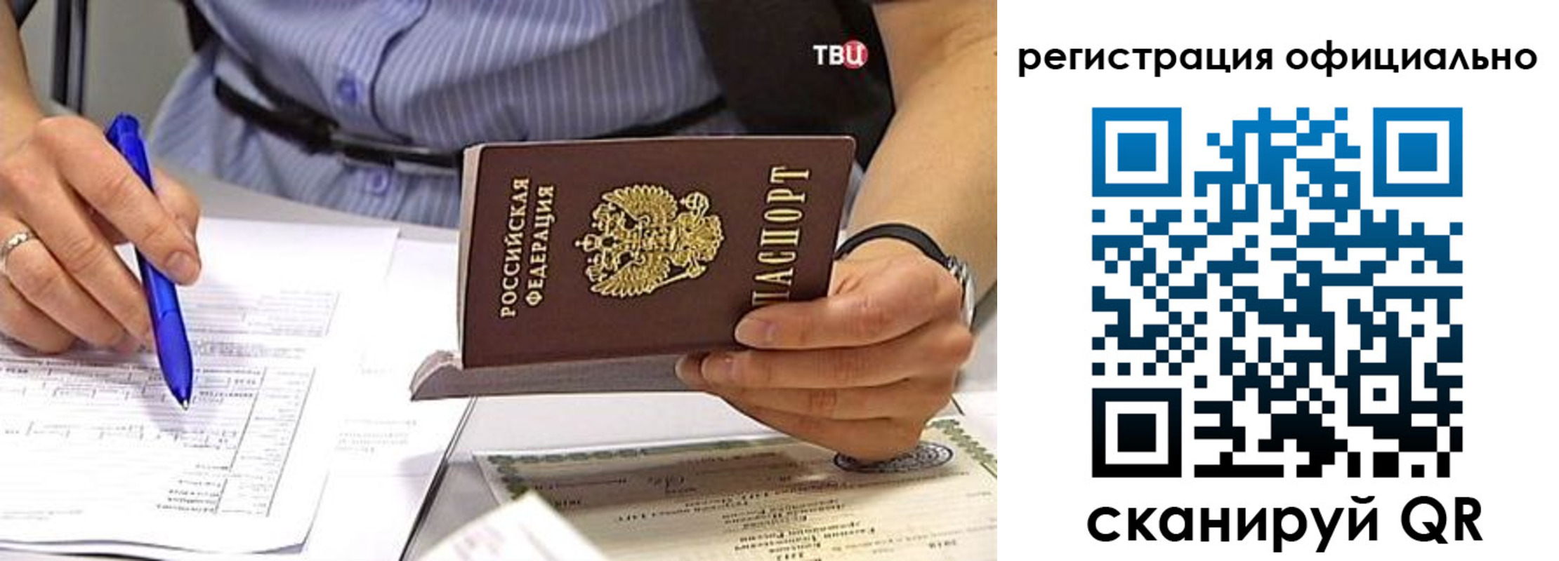 временная регистрация поиск в Светлогорске